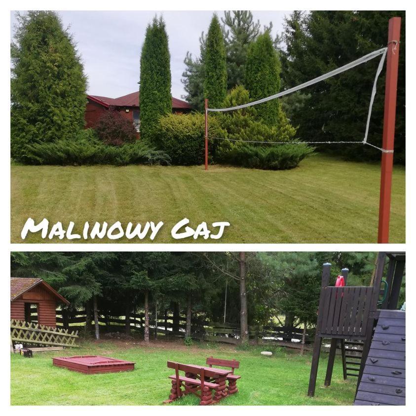 Malinowy Gaj - Agroturystyka Z Alpakami I Innymi Zwierzetami Swietajno  Buitenkant foto