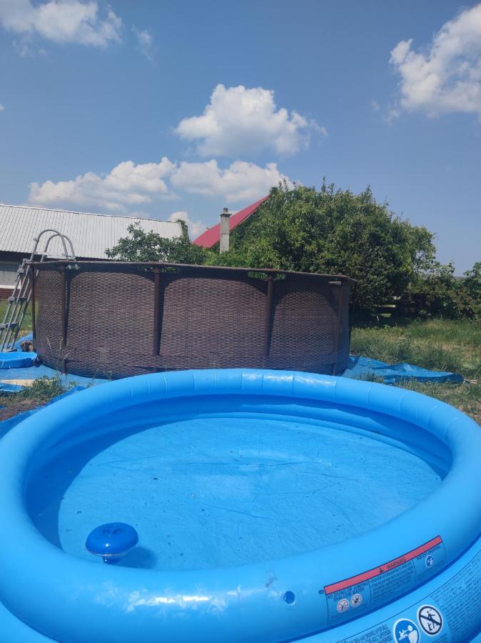 Malinowy Gaj - Agroturystyka Z Alpakami I Innymi Zwierzetami Swietajno  Buitenkant foto