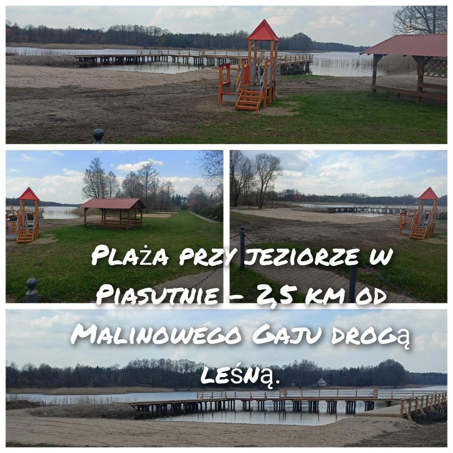 Malinowy Gaj - Agroturystyka Z Alpakami I Innymi Zwierzetami Swietajno  Buitenkant foto