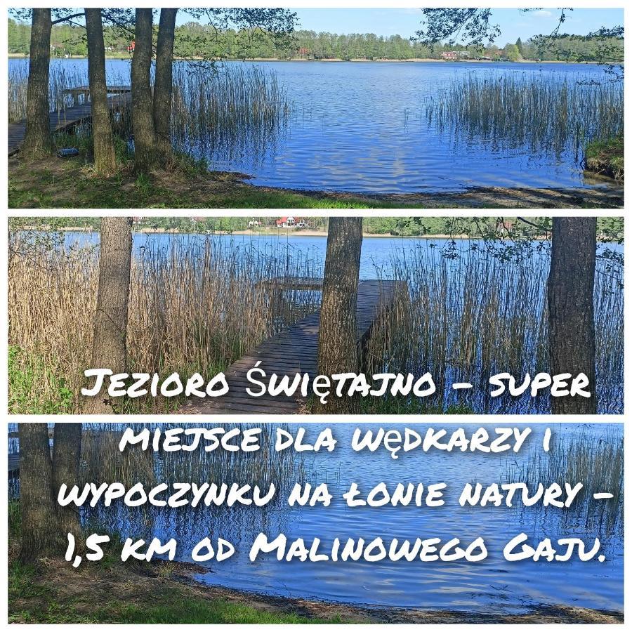 Malinowy Gaj - Agroturystyka Z Alpakami I Innymi Zwierzetami Swietajno  Buitenkant foto