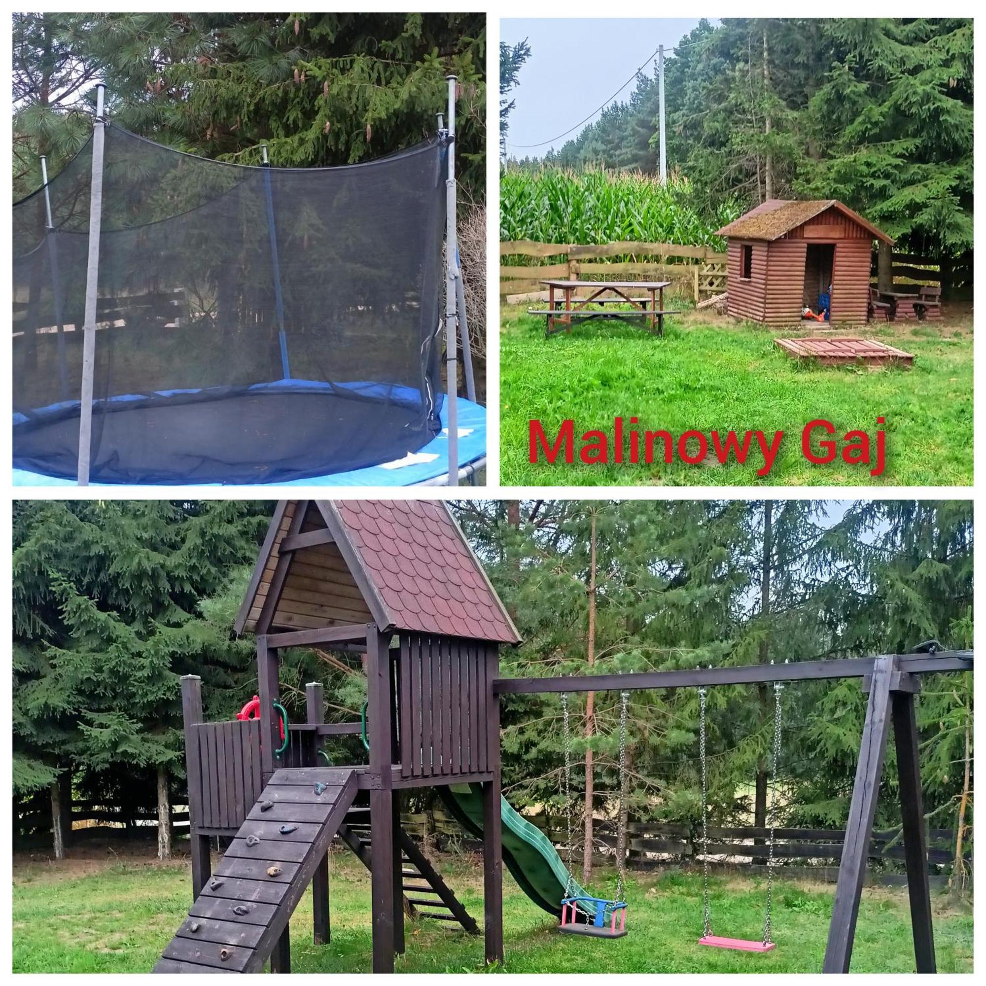 Malinowy Gaj - Agroturystyka Z Alpakami I Innymi Zwierzetami Swietajno  Buitenkant foto