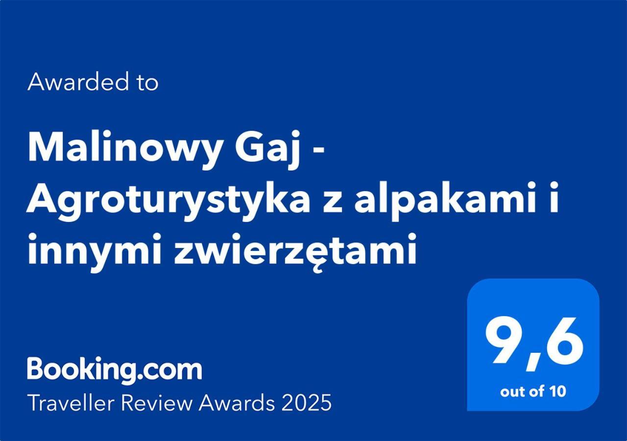 Malinowy Gaj - Agroturystyka Z Alpakami I Innymi Zwierzetami Swietajno  Buitenkant foto